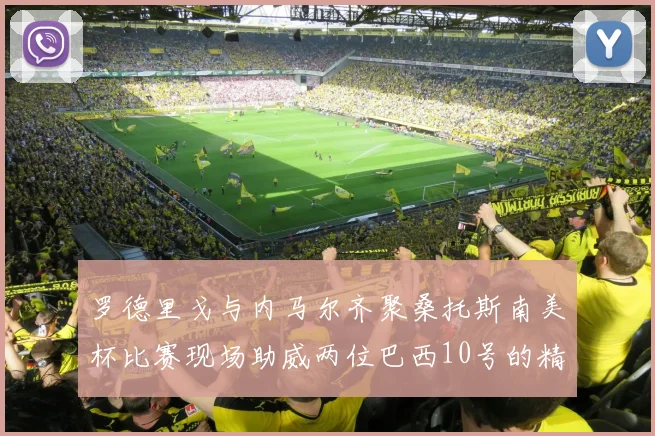 罗德里戈与内马尔齐聚桑托斯南美杯比赛现场助威两位巴西10号的精彩时刻