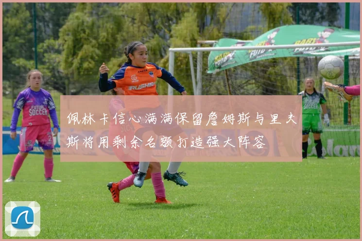 佩林卡信心满满保留詹姆斯与里夫斯将用剩余名额打造强大阵容